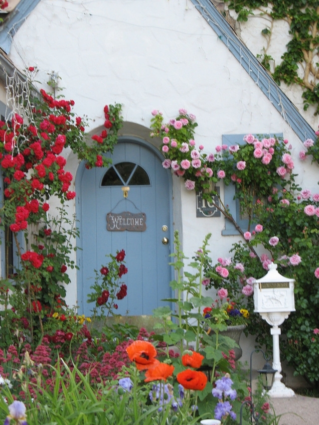 Căn nhà nhỏ nhắn nhưng hết sức thơ mộng với cánh cửa xanh kiểu vintage, tô điểm bằng hai khóm hồng leo khác màu hai bên và rất nhiều loài hoa trồng ngay lối vào.