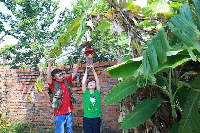 Cậu con trai út cũng cùng bố tận hưởng những niềm vui của người trồng trọt khi được tự tay thu hoạch cây trái cho mỗi bữa ăn.