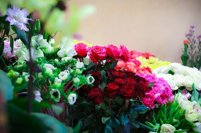 Rất nhiều loài hoa lạ, rực rỡ sắc màu từ khắp thế giới hiện diện tại cửa hàng chị Phượng để phục vụ 8/3.