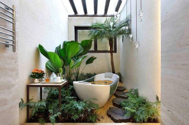 Một số người còn vì quá yêu thích thiết kế này mà tạo hẳn một khu vườn nhiệt đới trong ngôi nhà của mình, biến phòng tắm trở nên hoang dã, tự nhiên như thế này.