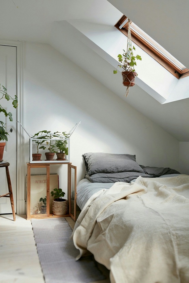 Sự gọn gàng, đơn giản của chiếc giường chính là điều khiến nó trở nên hoàn hảo hơn. Tất nhiên, những chậu cây cảnh nhỏ cũng mang đến sự sinh động cho căn phòng này.