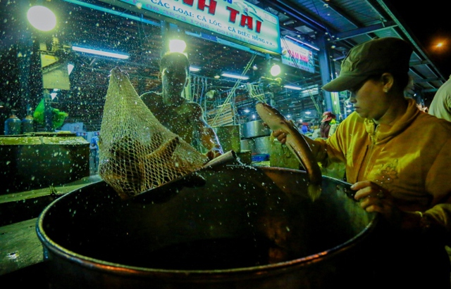 
 

Một thương lái ở quận 7 chờ nhân viên cân đủ số lượng cá lóc trước khi thanh toán và nhận hàng.

 


 

2h sáng, anh Gia lặn lội từ Long An xuống chợ đầu mối Bình Điền để mua 50 kg cá lóc với giá 31.000 đồng một kg.

 


 

Một thương lái đến từ Long An dùng tủ kính để vận chuyển cá lóc về chợ, bán lại cho khách. Tôi dùng tủ kính để con cá được bảo quản tươi ngon hơn, thương lái này chia sẻ.


