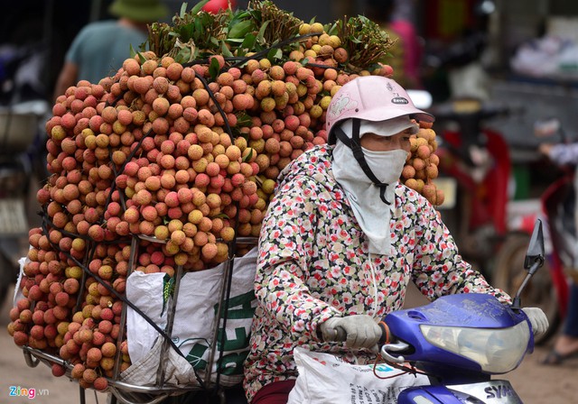 Điệp khúc mất mùa được giá là những gì đang xảy ra tại Lục Ngạn.