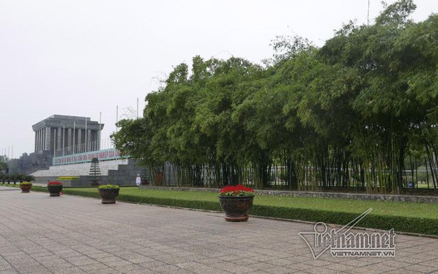 Vườn tre xanh b&ecirc;n Lăng B&aacute;c. Ảnh: Phạm Hải