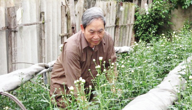 Lão nông Trần Nguyên Bộ, người trồng hoa cuối cùng ở làng Ngọc Hà. Ảnh: H.P