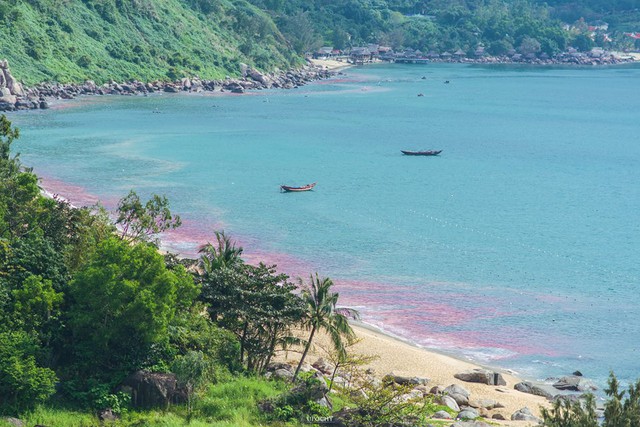 
Vệt nước màu đỏ được người dân ghi lại ở Bãi Nam, bán đảo Sơn Trà. Ảnh: Facebook Upochy Nguyễn

