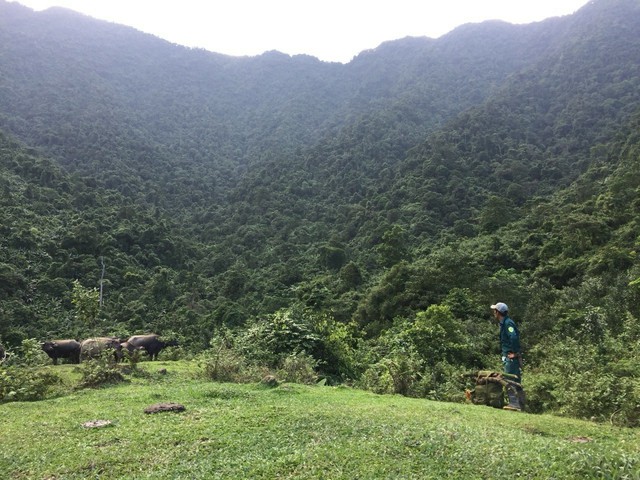 
Khu vực tìm kiếm máy bay MIG 21 gặp nạn tít tận đỉnh núi Tam Đảo thuộc địa phận huyện Đại Từ, Thái Nguyên.
