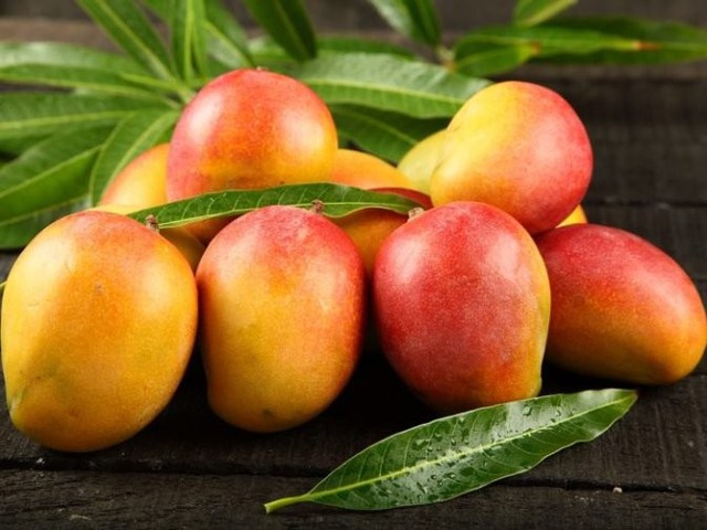 Từ lâu, xoài vùng Bắc Úc (Northern Territory Mango) vốn nổi tiếng là loại hoa quả có giá trị cao.