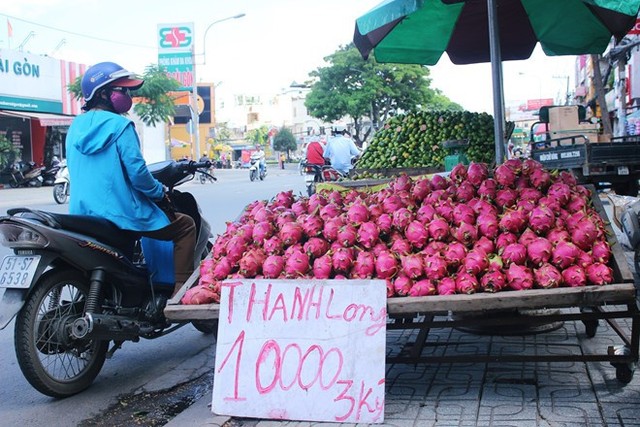 
Thanh long Bình Thuận đổ về TP.HCM với giá 10.000 đồng cho 3 kg.
