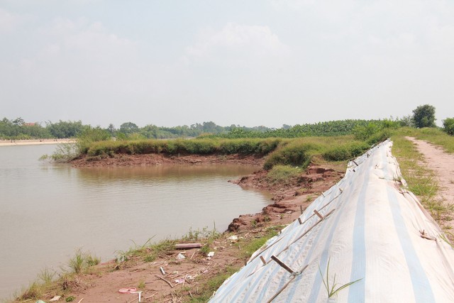 
Chính quyền địa phương phải gia cố đoạn đê có nguy cơ sạt lở cao trong trận bão số 4 vừa qua.
