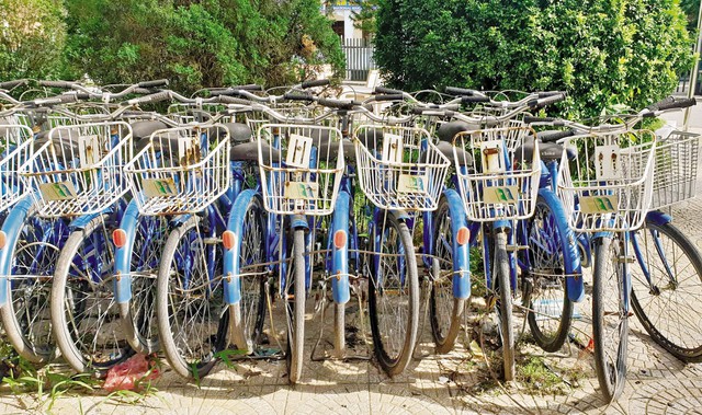 
Dãy dài xe đạp tại ĐH Công nghiệp Hà Nội lâu ngày không sử dụng bị han rỉ, xuống cấp. Ảnh: Nhật Tân

