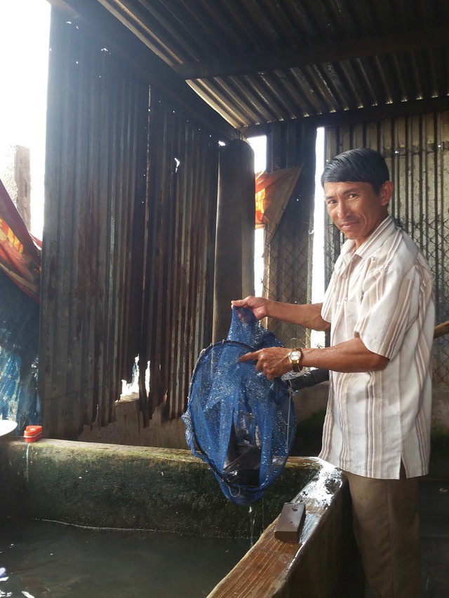 
Anh Khoa đang khoe những con cái trê lai từ ao nuôi cá mỗi năm đem lại nguồn lãi 300 triệu đồng.
