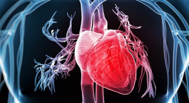 
Ăn vội vã tăng nguy cơ mắc bệnh tim mạch, ảnh minh họa.
