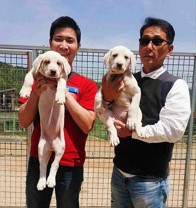 
Anh Vi Đức Minh (&aacute;o đỏ) c&ugrave;ng ch&uacute; ch&oacute; Barbarian Mastiff l&uacute;c c&ograve;n nhỏ ở H&agrave;n Quốc.
