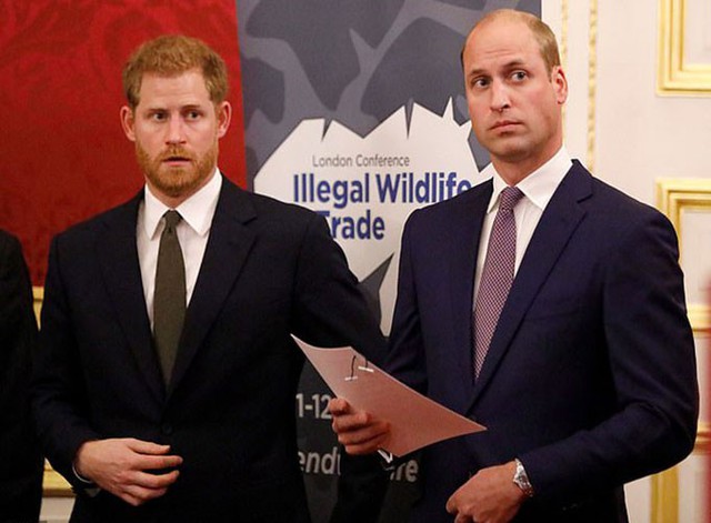 Hoàng tử William và Harry cùng xuất hiện trong một sự kiện hồi đầu tháng 10 ở London. Ảnh: PA.