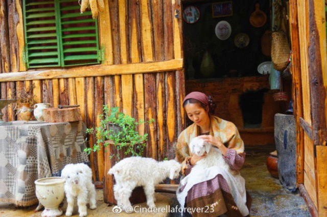 
Cuộc sống bình lặng.
