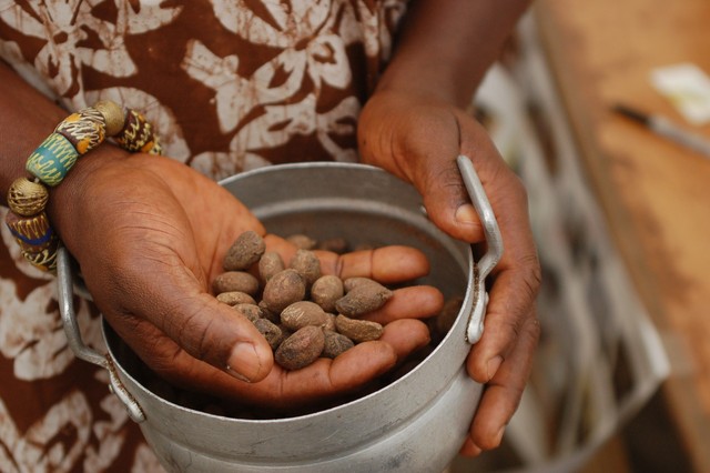 Phụ nữ châu Phi đóng một vai trò quan trọng trong quá trình chiết xuất tinh dầu, vì đây thường là một quy trình thủ công.