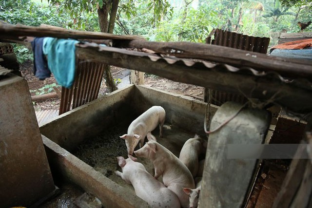 Sinh ra trong gia đình không mấy khá giả nên từ nhỏ HHen Niê đã có ý thức về việc kiếm tiền giúp đỡ gia đình và tiết kiệm. Thời đi học, cô làm thêm nhiều việc để phụ giúp bố mẹ như hái cà phê, xách nước, cắt cỏ, cấy lúa, chăn bò...