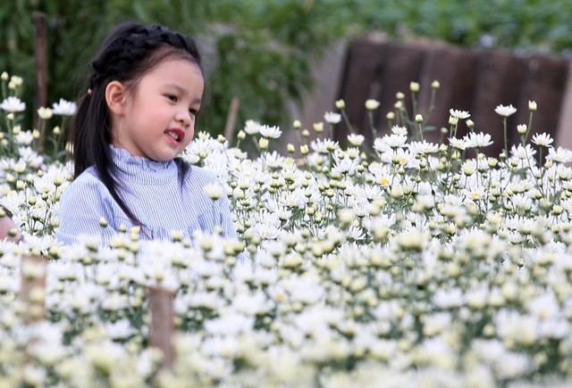 
“Tôi không nghĩ con gái lại vui vẻ và hợp tác để cha mẹ chụp những bức ảnh cùng cúc họa mi”, một bậc phụ huynh nói.
