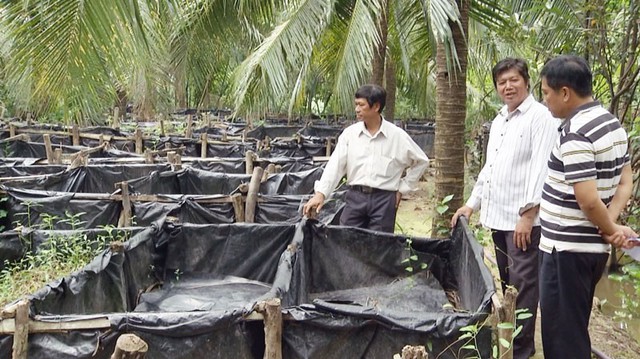 
Anh Đặng Văn Hoàng (đứng giữa) giới thiệu mô hình nuôi lươn của gia đình. Ảnh: Nguyễn Trung.
