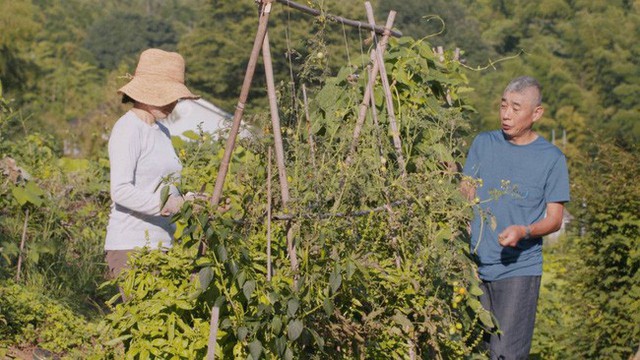 
Họ tự trồng rau sạch.
