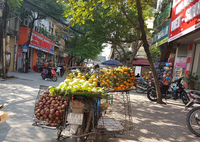 
Mặt hàng ổi, táo đá được các xe hàng rong bán với giá chỉ 20.000 đồng/kg.     Ảnh: Bảo Loan
