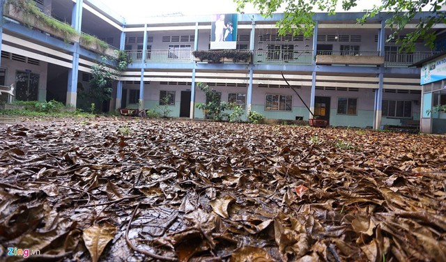 
Trường tiểu học Tân Quý nằm trên đường Tân Kỳ Tân Quý, phường Sơn Kỳ (quận Tân Phú) được xây dựng khang trang 2 tầng với khoảng 20 phòng học. Tuy nhiên, gần 3 năm nay, ngôi trường không được sử dụng, rơi vào cảnh hoang phế. Cơ sở vật chất trường xuống cấp.
