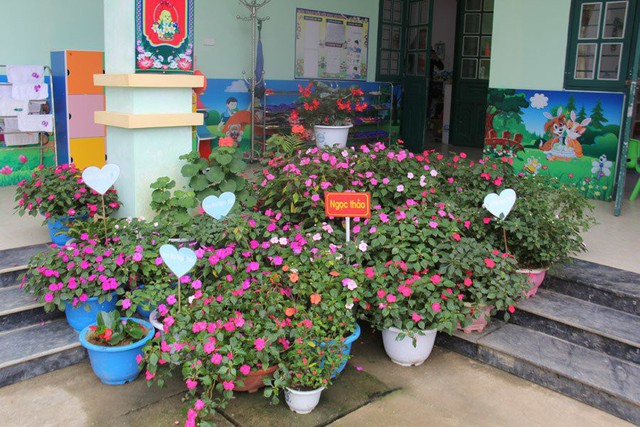 Chậu hoa được đặt tràn lên cửa lớp