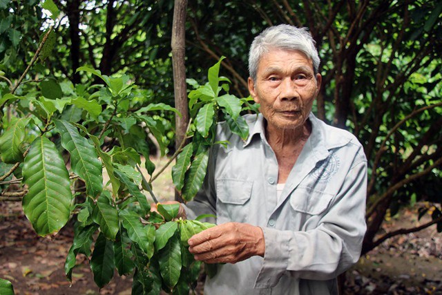 Ông Trần Văn Rỡ 
