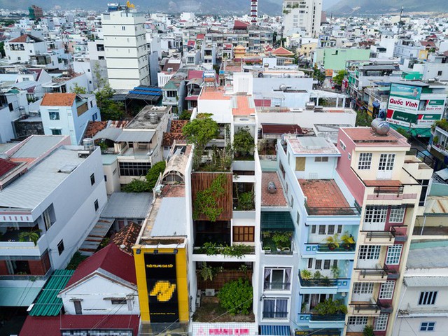 Ngôi nhà vừa là không gian sống của gia chủ, vừa là văn phòng làm việc theo mô hình thường thấy tại các đô thị lớn. Công trình tách biệt hoàn toàn với dãy nhà phố xung quanh nhờ việc trồng nhiều cây xanh, có thiết kế tối giản.