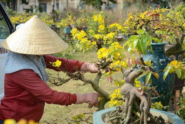 
Nghề trộn phân bón cho hoa dịp Tết mang lại thu nhập khá cho người lao động. Ảnh minh họa
