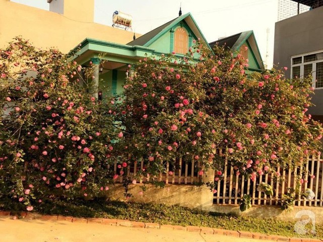 
Ngôi nhà đẹp dịu dàng bên những khóm hồng rực rỡ.
