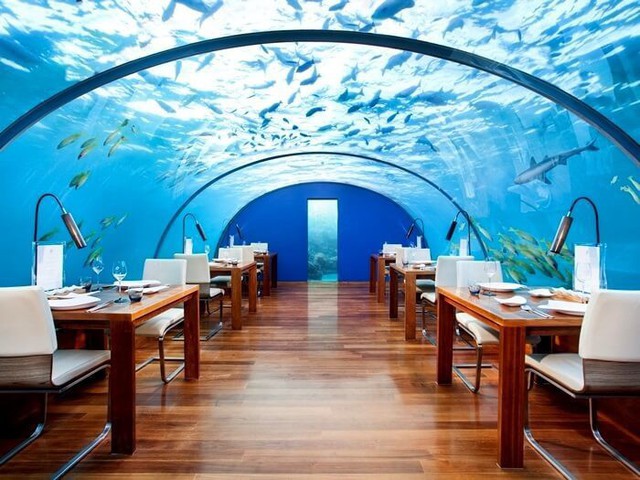 
Bỏ ra 300 USD ở Ithaa, Maldives bạn còn được dùng bữa dưới biển.
