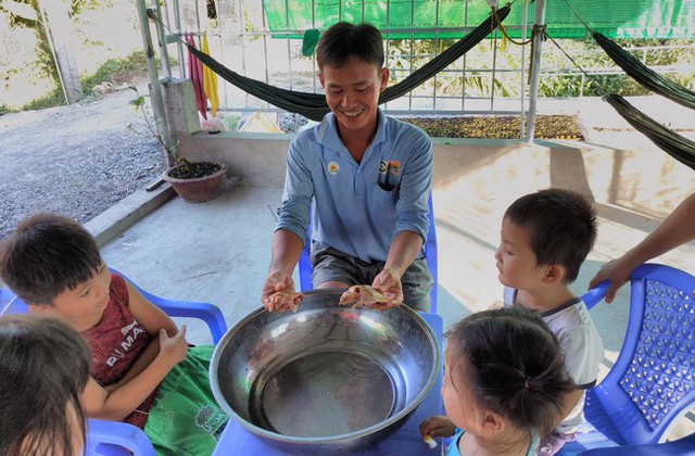 
Anh Cường mua cặp cua đinh này ở huyện Phụng Hiệp (Hậu Giang) với giá khá cao, khi đó mỗi con chỉ nặng được 20g.
