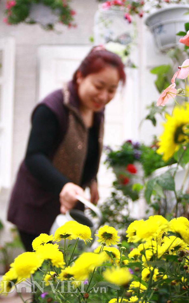 Đam mê hoa tươi, chị Nguyễn Linh Chi (Kim Mã, Hà Nội) đã biến ban công của mình thành một vườn hoa rực rỡ sắc màu để đón xuân về.