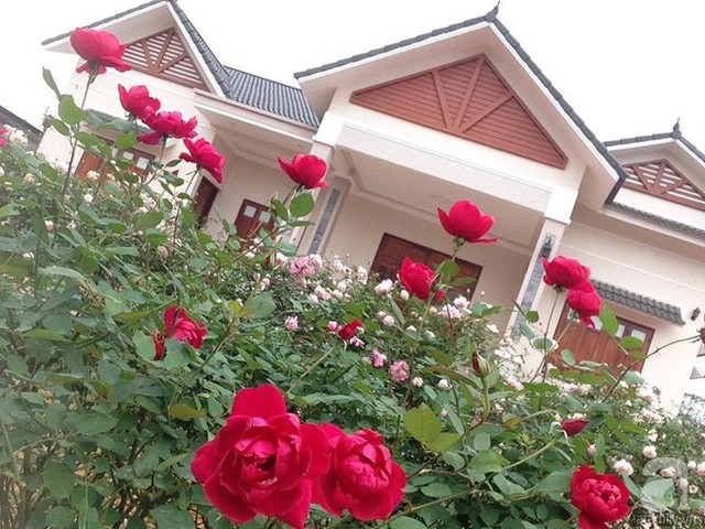 Căn  nhà vườn  xinh xắn bên vườn hồng rộng hơn 10.000m2.
