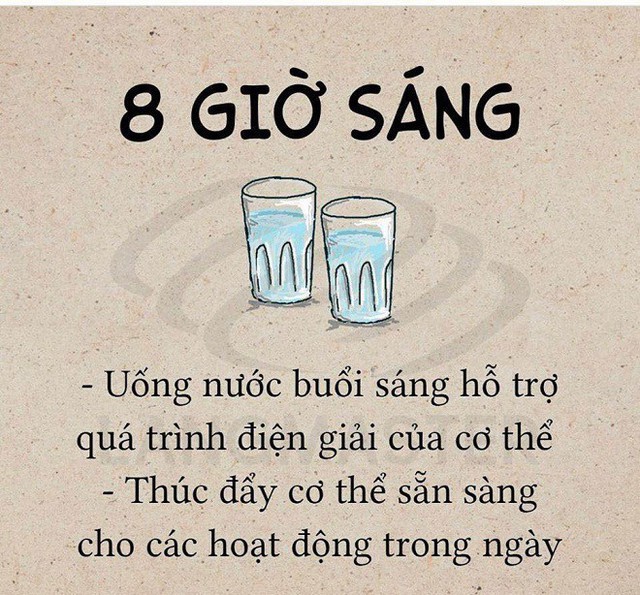 
Một cốc vào lúc 8h sáng khi vừa tỉnh dậy để thanh lọc cơ thể. (Ảnh tổng hợp)
