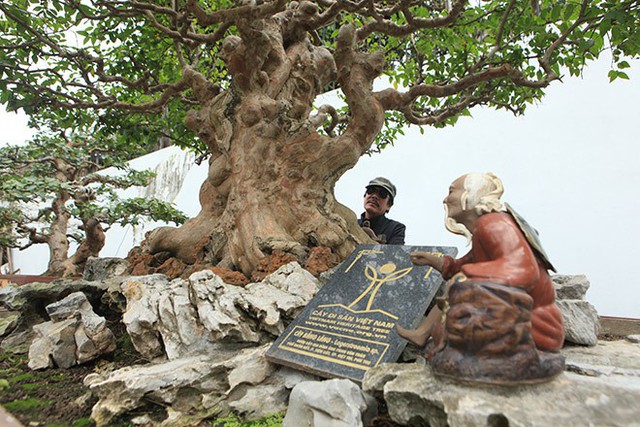 Năm 2014, Đại hội Sinh vật cảnh Châu Á đã bình chọn vườn nhà anh Toàn là Vườn cây xuất sắc nhất Đông Nam Á. Năm 2015, vườn cây tiếp tục được Liên Hiệp các hội Khoa học và Kĩ thuật Việt Nam, Bộ Nông nghiệp và phát triển Nông thôn, Hội bảo tồn Thiên nhiên Việt Nam công nhận là Vườn cây di sản đầu tiên tại Việt Nam.