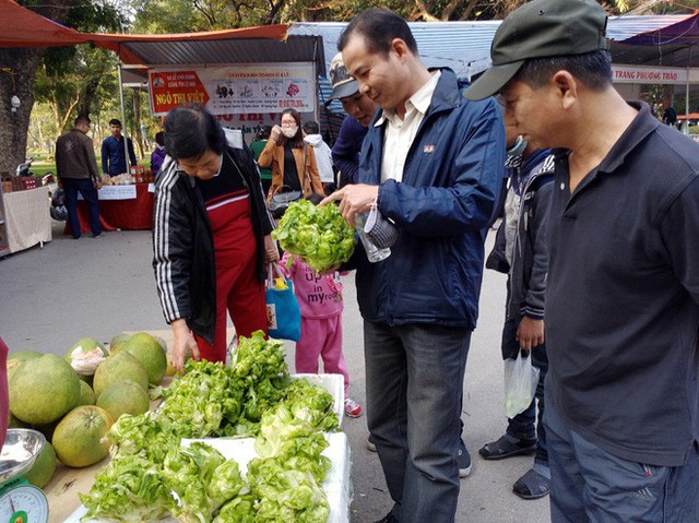 Cải mầm đá Sapa được giới thiệu tại một hội chợ Tết ở Hà Nội hồi tháng 1/2018.