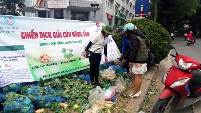 
Hàng loạt các loại nông sản như củ cải, su hào, khoai tây được đem đi “giải cứu”.     Ảnh: K.O
