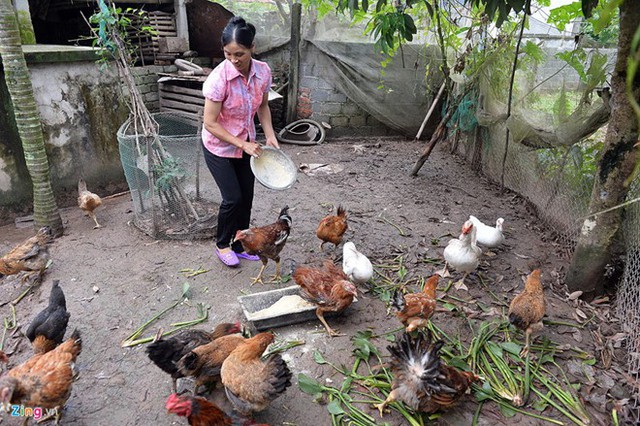 Mẹ Đoàn Văn Hậu là người phụ nữ hiền thục, tần tảo và mau nước mắt mỗi khi nói về con trai. Ảnh: Lê Hiếu.