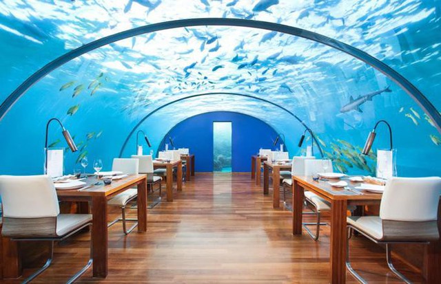 Làm thế nào để cùng ăn tối với cá mập, cá đuối và rùa? Bạn có thể đến nhà hàng Ithaa ở Maldives. Đây là là điểm hút khách với những người yêu thích đại dương nhưng quá sợ hãi trong việc lặn biển.