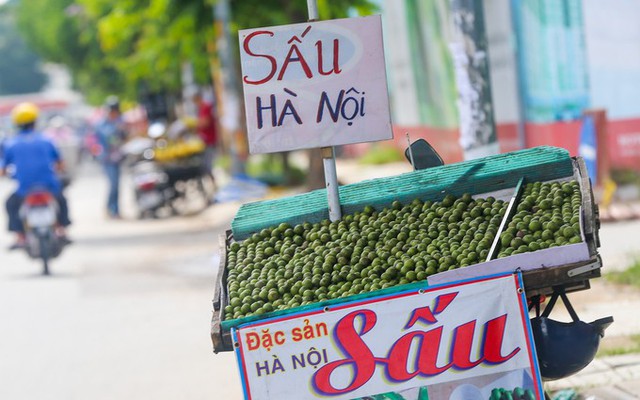 Còn vào khoảng tháng 6 đến tháng 8, trên vỉa hè đường Cộng Hòa, Phan Văn Trị... lại có nhiều xe bán sấu - loại quả chỉ có thể trồng được ở miền Bắc. 