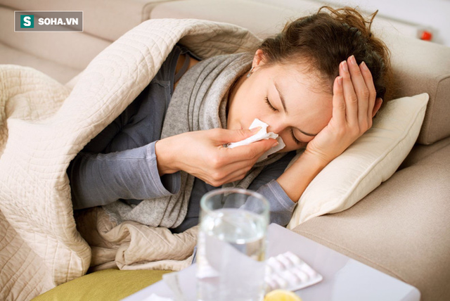 
Bệnh cúm là một loại virus chưa có phương pháp chữa trị hoàn toàn, thuốc kháng sinh hầu như cũng vô ích.
