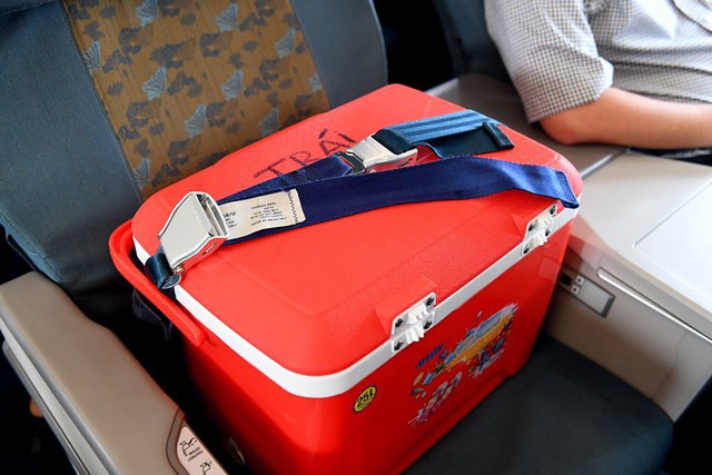 
Vietnam Airlines thậm chí còn quyết định dành một ghế miễn phí cho thùng đựng tạng
