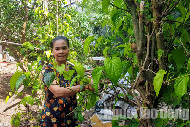 Bà Thúy hay đi làm công quả cho các chùa lúc rảnh rỗi