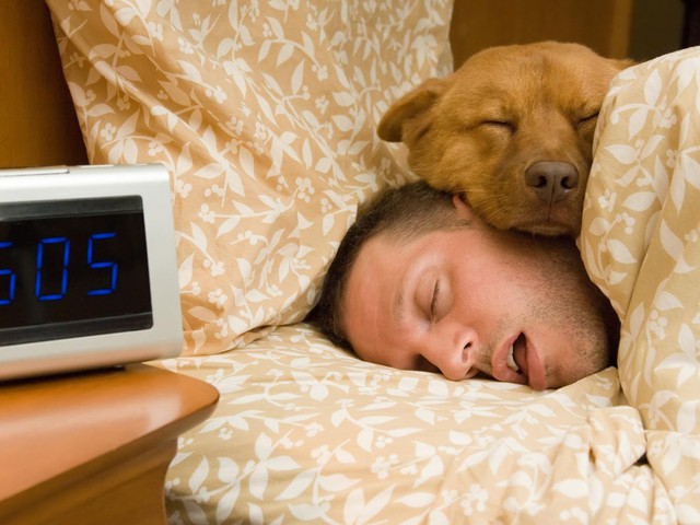 Ngủ nướng vào cuối tuần có thể mang tính chất bù lại những ngày thiếu ngủ khi phải làm việc?