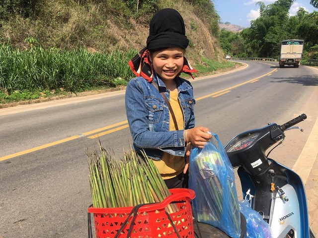 Măng loi rừng được bà con người Thái Yên Châu mang đi bán dọc theo Quốc Lộ 6, tỉnh Sơn La