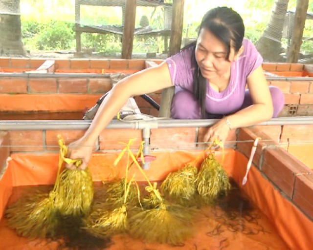 Chị Phạm Thị Kiều Em bên mô hình nuôi lươn sinh sản trong bể lót bạt.