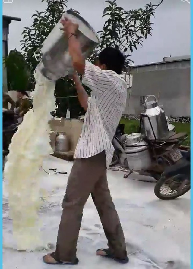 Ông Đức đổ sữa xuống đất vì giá thu mua quá thấp. Ảnh cắt từ clip